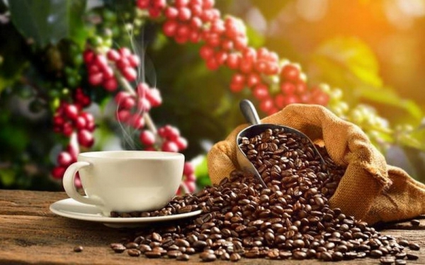 cà phê hòa tan giá sỉ